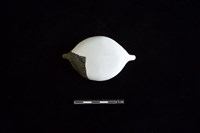 陶罐藏品圖，第2張